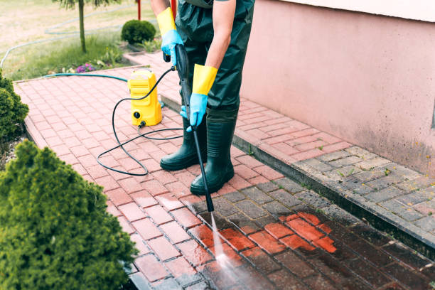 Animal Enclosure Cleaning in Solana, FL